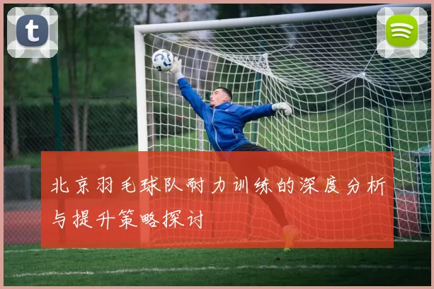 北京羽毛球队耐力训练的深度分析与提升策略探讨