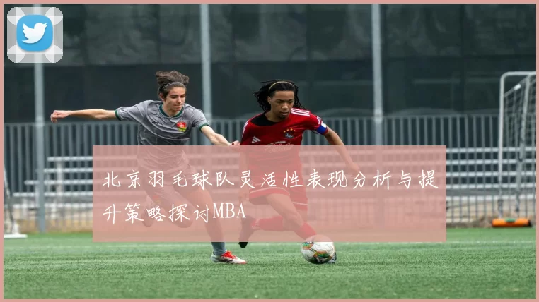 北京羽毛球队灵活性表现分析与提升策略探讨MBA