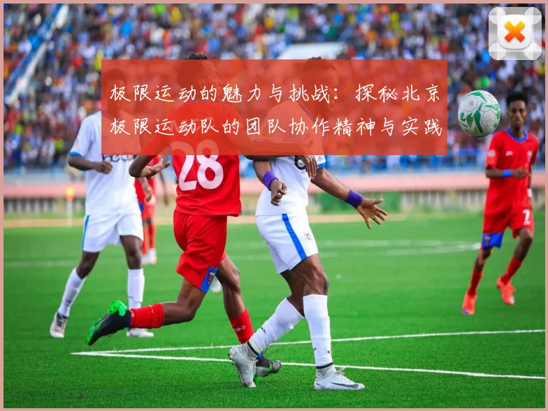 极限运动的魅力与挑战：探秘北京极限运动队的团队协作精神与实践MBA
