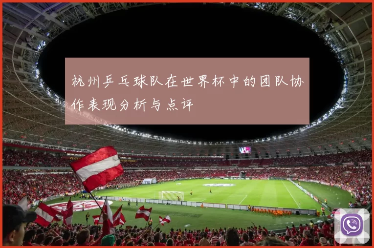 杭州乒乓球队在世界杯中的团队协作表现分析与点评