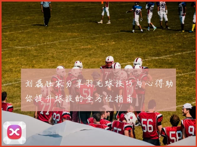刘磊独家分享羽毛球技巧与心得助你提升球技的全方位指南