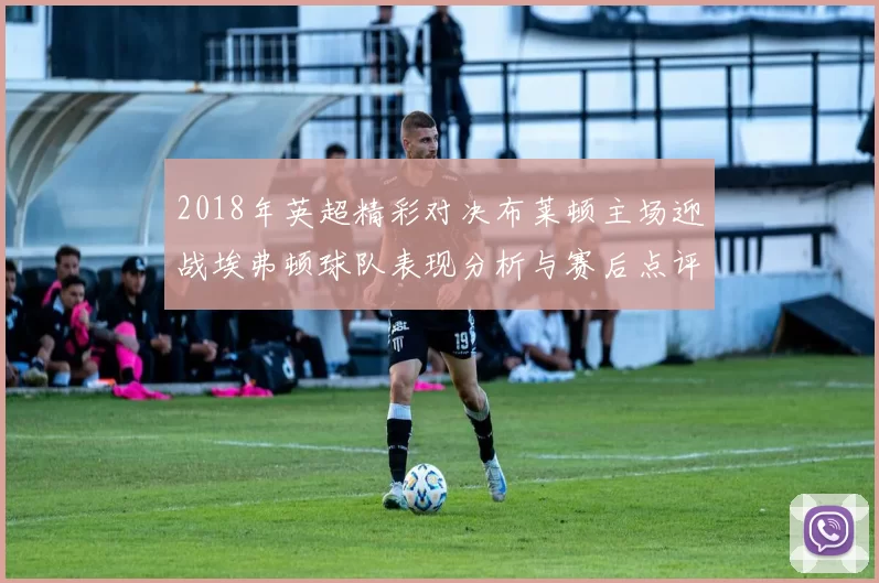 2018年英超精彩对决布莱顿主场迎战埃弗顿球队表现分析与赛后点评